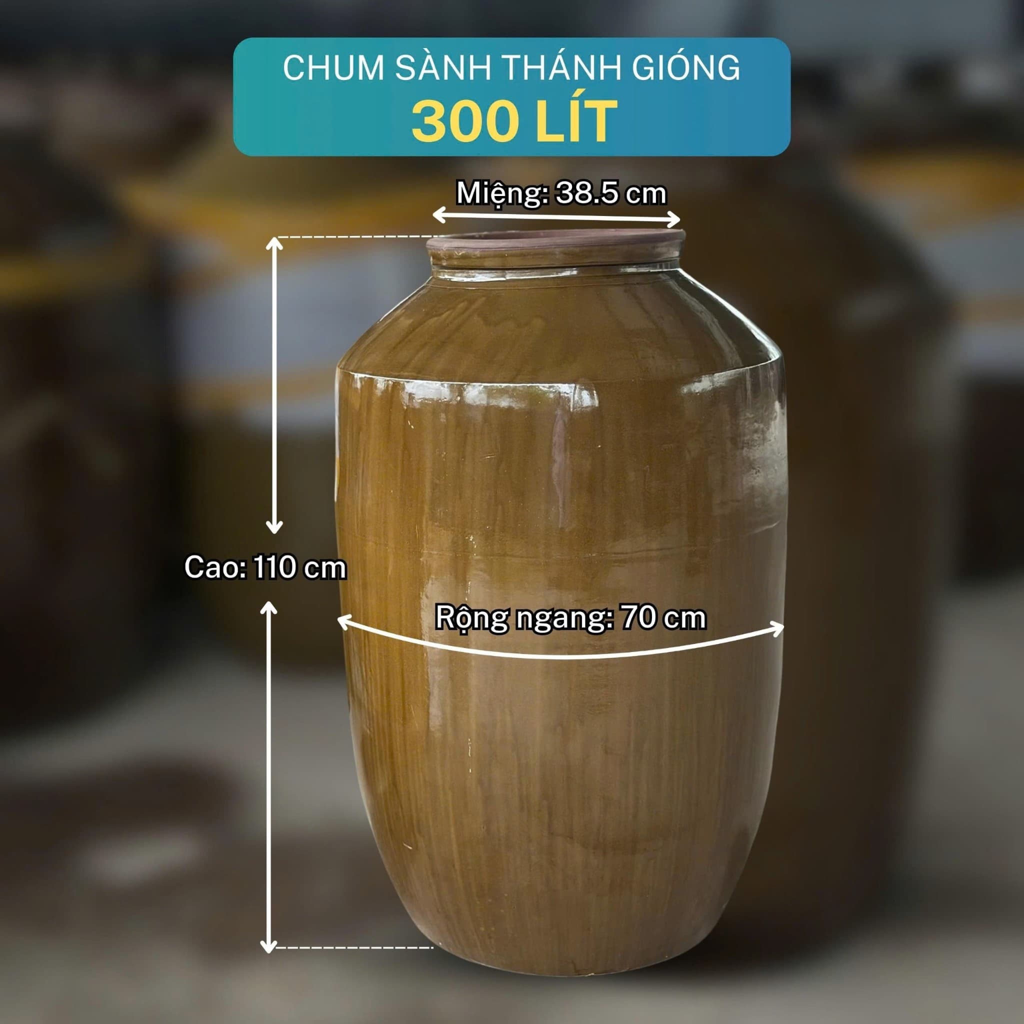Chum thánh gióng 300l - ảnh 1